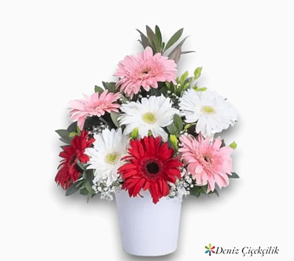 Renkli Gerbera Aranjmanı