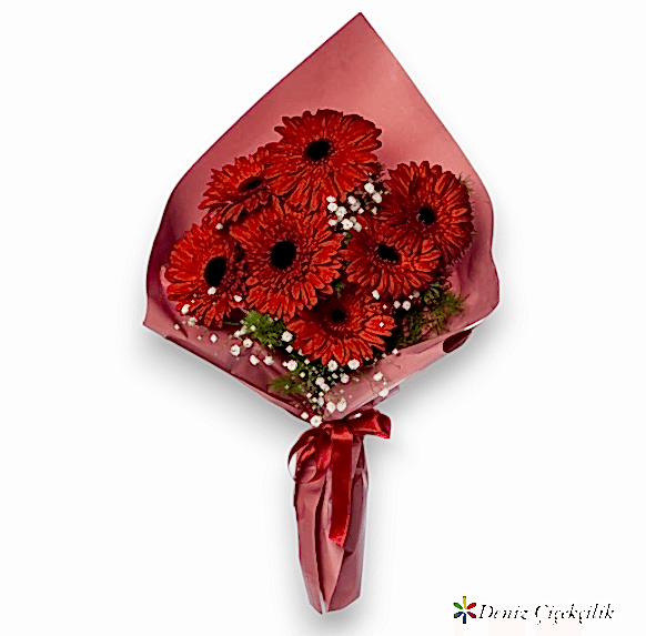 Kırmızı Gerbera Buketi