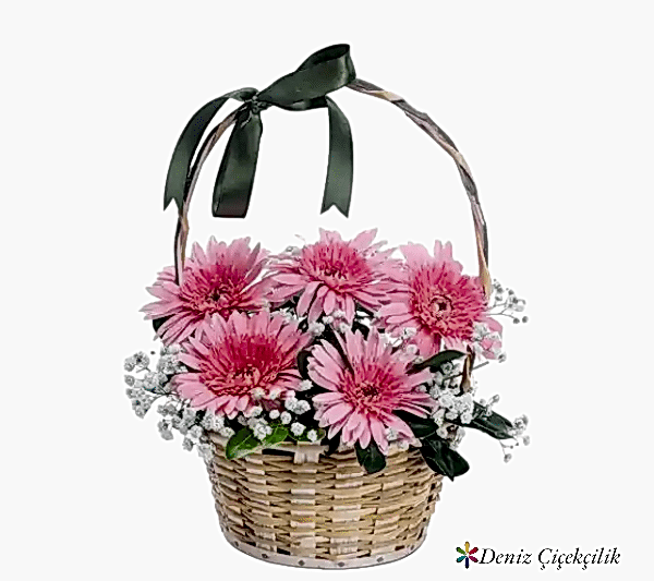 5 Pembe Gerbera Çiçek Sepeti