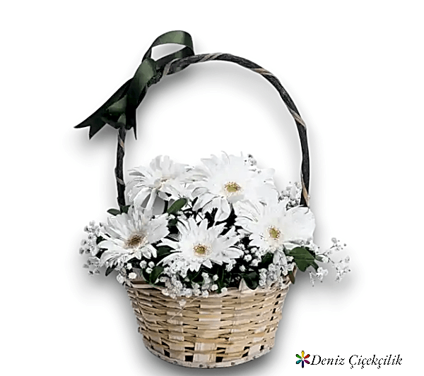 5 Beyaz Gerbera Çiçek Sepeti