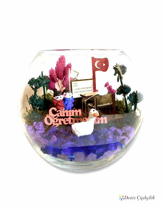dersin-konusu-canim-ogretmenim-teraryumu